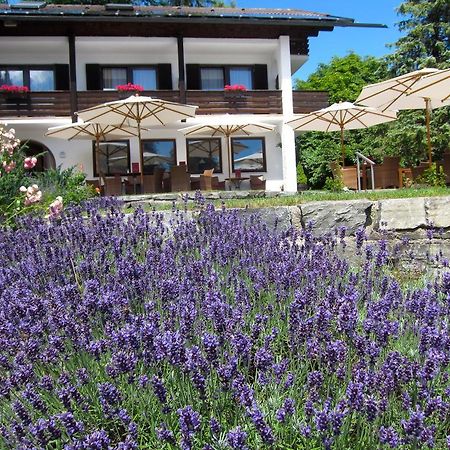 Seehof Apartments Вальхензе Екстер'єр фото